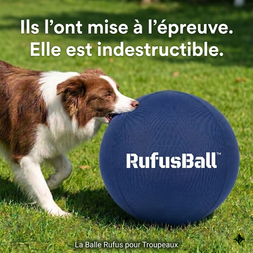 RufusBall